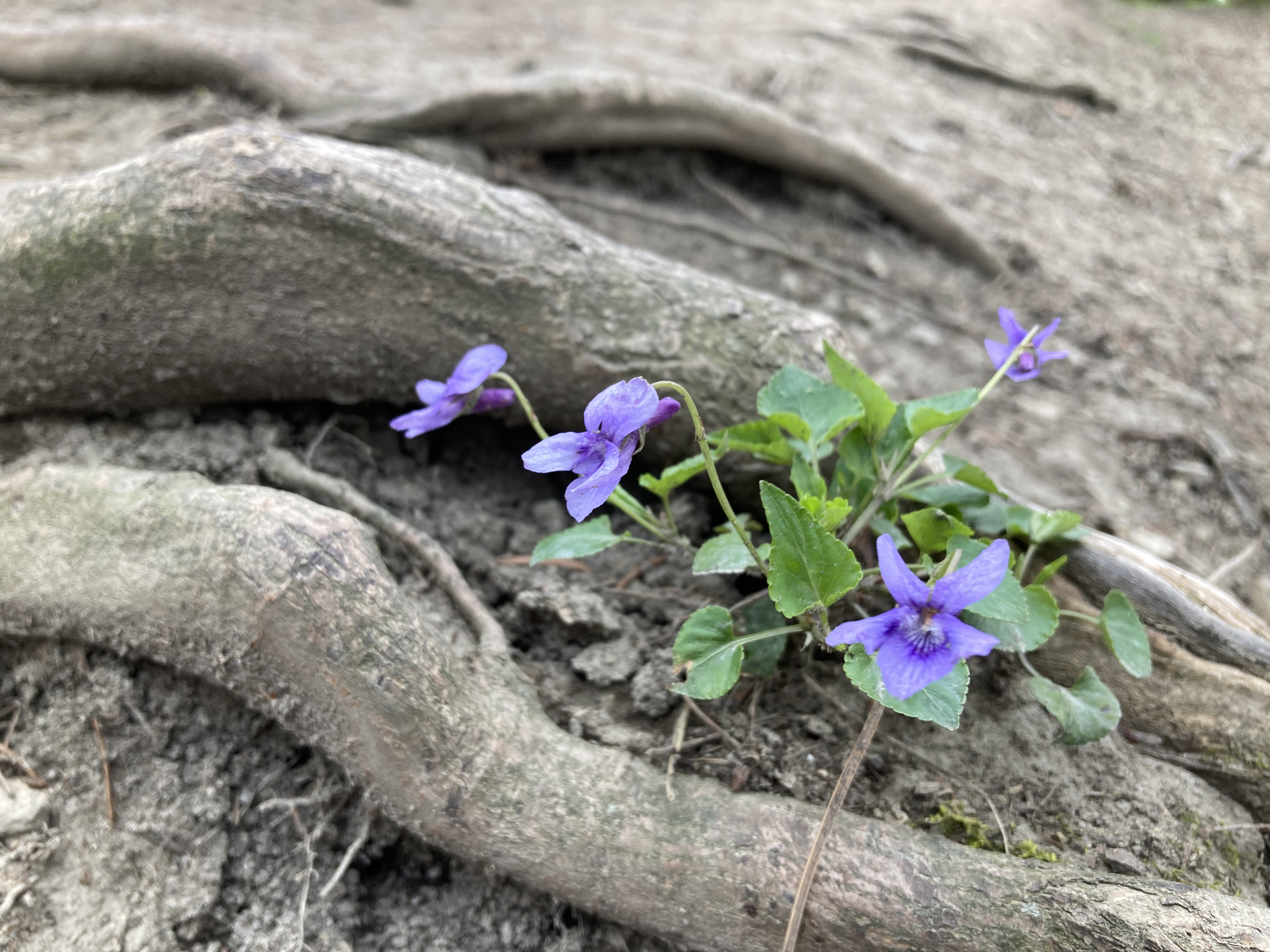 20230429_082929743_iOS