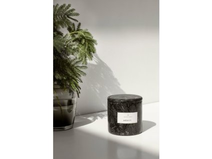2051 1 frable vonna svicka agave tmave seda