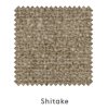 shitake