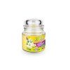 Citronella repelentná sviečka v skle 120g