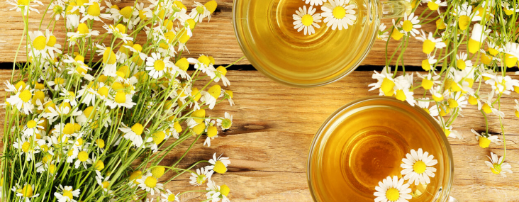 Jak podpořit léčbu nachlazení přírodně