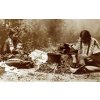 Placenta Ancestors 2