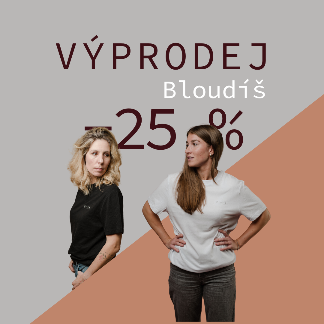 Název Carousel Mobil Typ