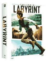 Labyrint