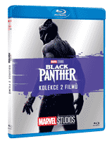 Black Panther 2