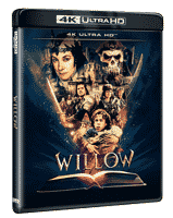 Willow