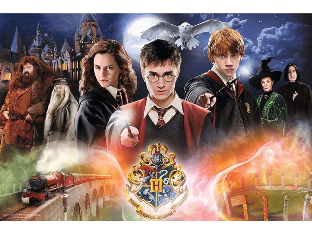 Puzzle Harry Potter: Kouzla a čáry v Bradavicích (300 dílků) - Blu-shop.cz