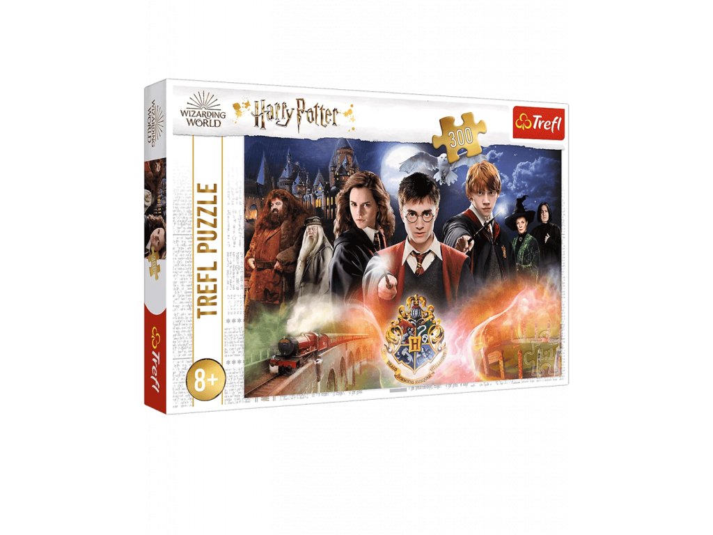 Puzzle 3D effect: Harry Potter: Harry and Ron over Hogwarts, 300 pieces