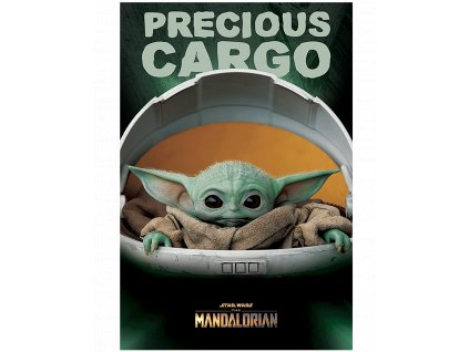 Plakát Star Wars - Mandalorian: Precious Cargo (91,5 x 61 cm)