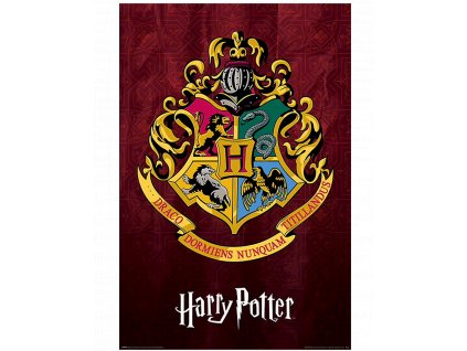 Plakát Harry Potter: Bradavická škola čar a kouzel (91,5 x 61 cm)