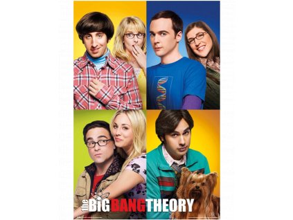 Plakát Big Bang Theory - Teorie velkého třesku: Hlavní páry (61 x 91,5 cm)