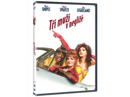 Tři muži v negližé (DVD)