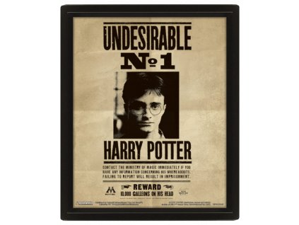 Lentikulární 3D obraz Harry Potter (28 x 23 cm)