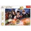 Puzzle Harry Potter: Kouzla a čáry v Bradavicích (60 x 40 cm)