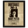 Lentikulární 3D obraz Harry Potter (28 x 23 cm)
