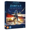 Avatar: The Way of Water / Avatar 2 (2x Blu-ray 3D + 2x Blu-ray, Bez CZ))