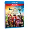 Alice in Wonderland: Through the Looking Glass  (3D)