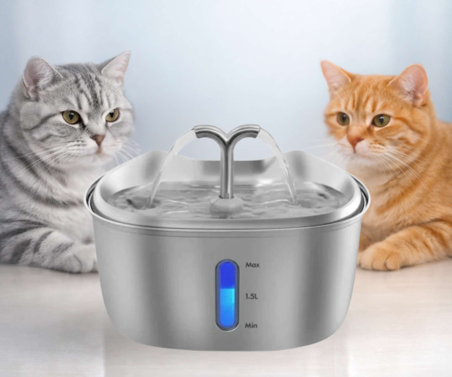 Věděli jste, že většina koček trpí skrytou dehydratací? Pitný režim kočky a proč fontána může zachránit ledviny?