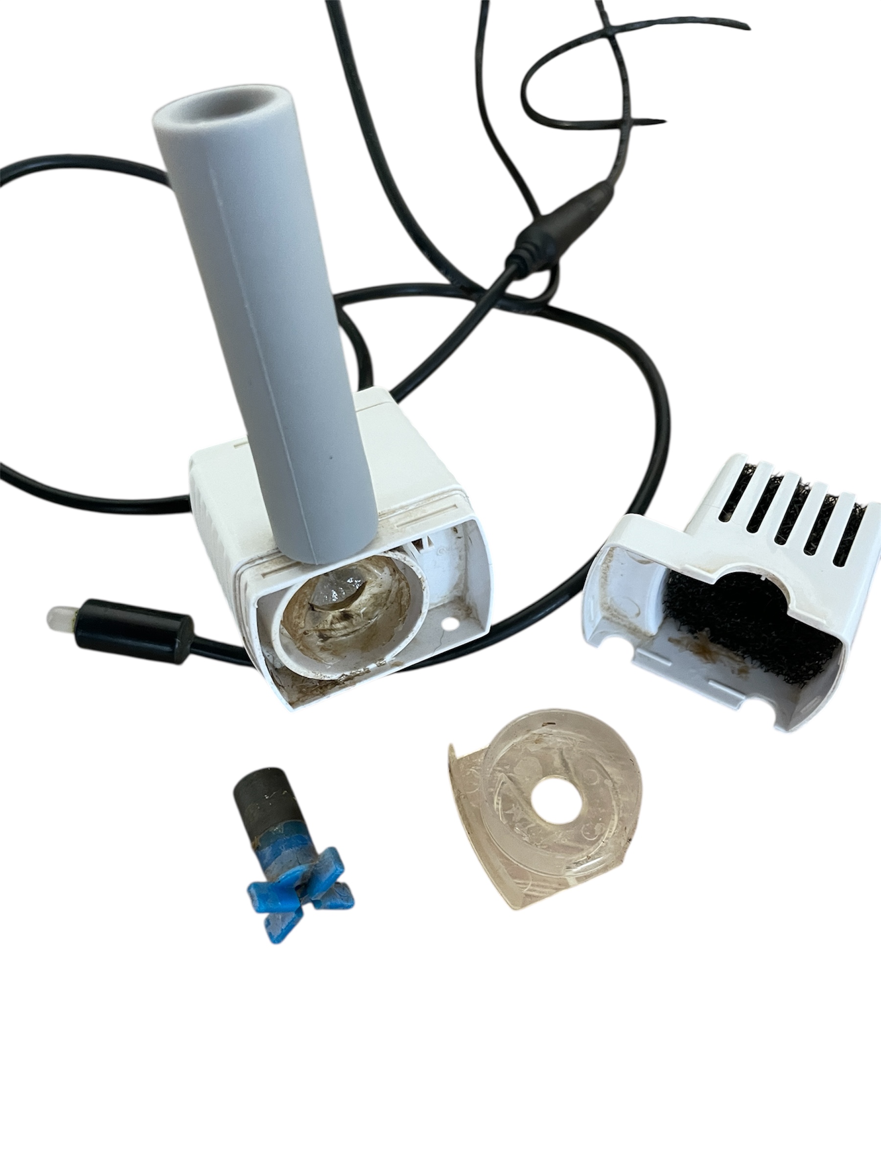 Photoroom_20260117_174717