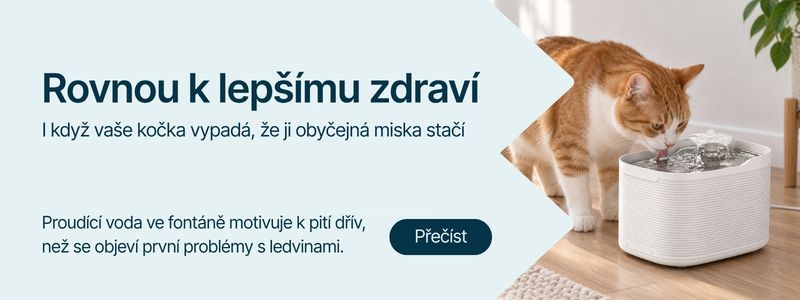 Pitný režim koček a význam fontány na vodu