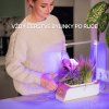 Chytrý květináč s LED (4)