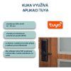 Chytrá klika H2 Tuya Blueroad (2)