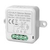 Srmívač 1 gang WiFi