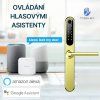 Chytrá klika TTLock H1 zlatá Blueroad (10)