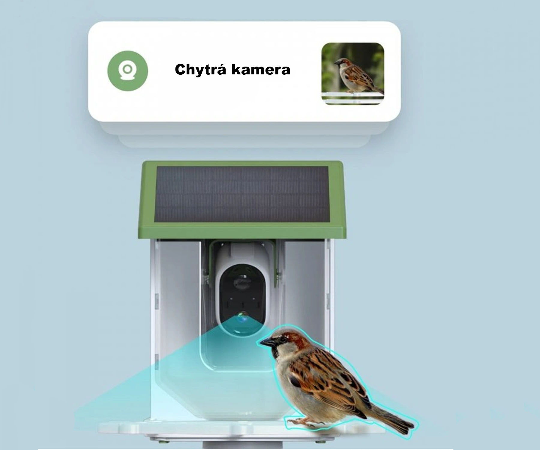 Intelligens madárházak és madáretetők: modern technológia a természet szolgálatában