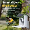 BOT Madáretető BF2 WiFi kamerával