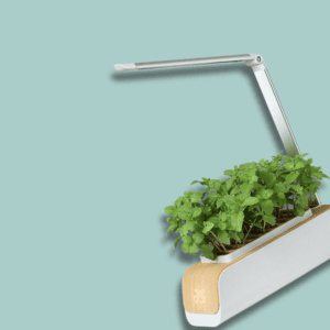 Uprawiać (květináč)