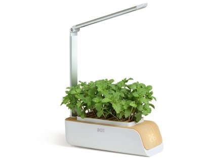 Chytrý květináč BOT