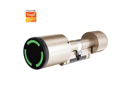 Chytrý zámek SL2 Tuya