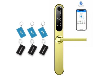 BOT Inteligentna klamka TTLock H1 złota (13)