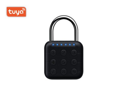 bot chytry visaci zamek tuya pl2