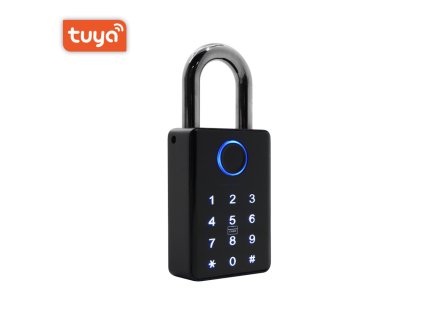 bot chytry visaci zamek tuya pl3