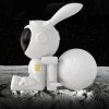 BOT Projektor nieba nocnego Moon Bunny MB1 (11)