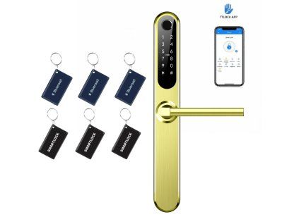 Inteligentná kľučka TTLock H1 zlatá (3)