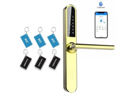 Klika H1 TTLock zlatá (2)