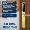 BPT Chytrá klika H1 TTLOCk zlatá (19)