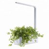 BOT Chytrý kvetináč s LED (7)