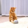 558 3 cheerble wicked ball interaktivni mic pro kocky sedy