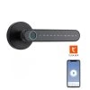 BOT Inteligentná kľučka Tuya SH1 čierna (1)