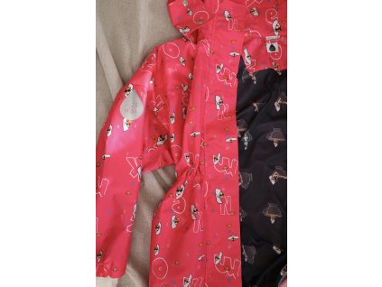 Fancy in Fancy Pinky