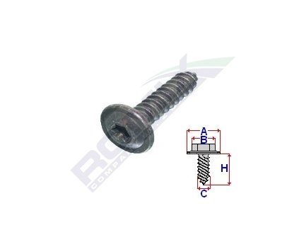 3100 vrut cerny torx 4 2x25