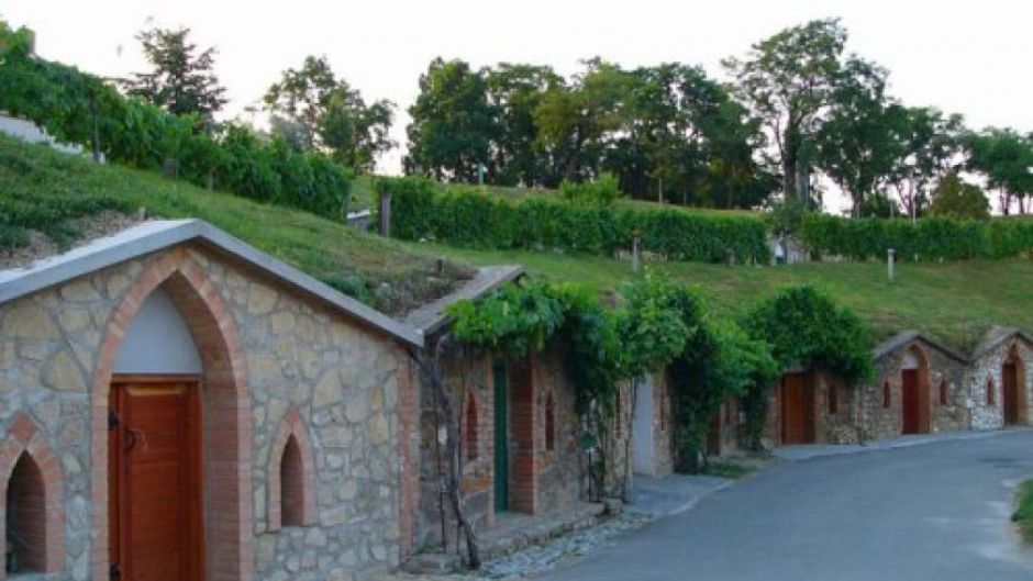 Z kopca do kopca - 14.5.2022 (otevřené sklepy)