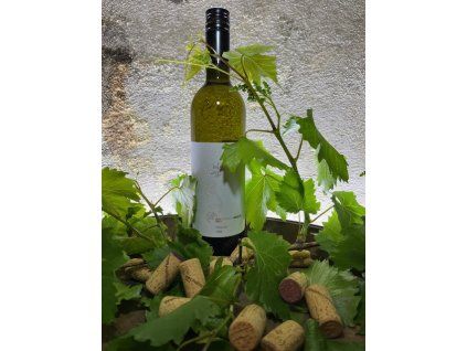 Hibernal 2024 polosuché