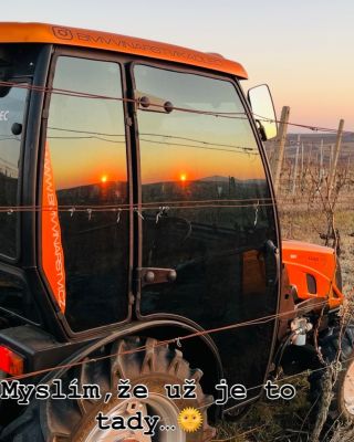 Jaro…Slunce #jaro #vino #jiznimorava #palava #vrbice