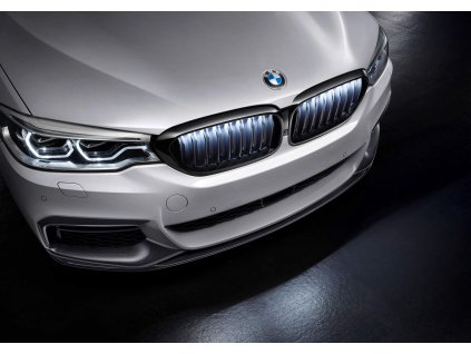 BMW Iconic Glow - maska chladiče