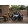 Helma BMW GS Carbon Evo Sechura